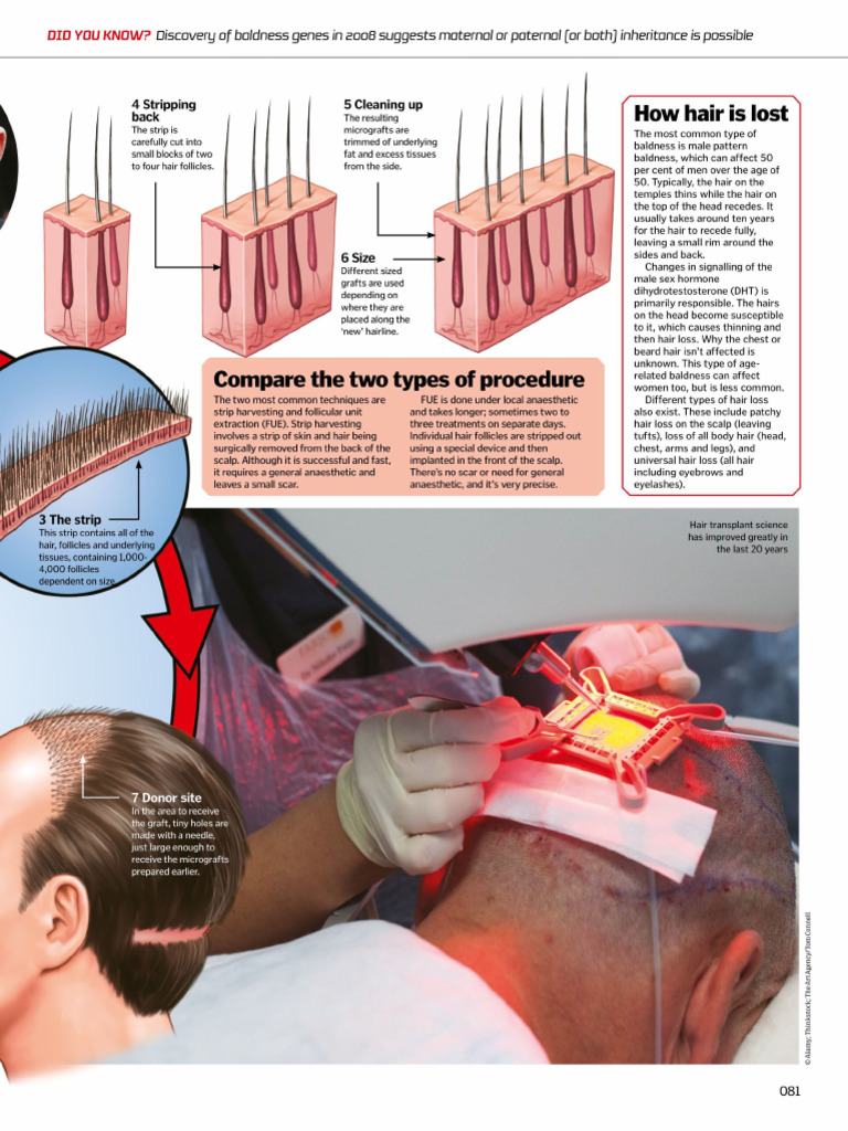 How It Works - Inside The Human Body-81-100 | PDF