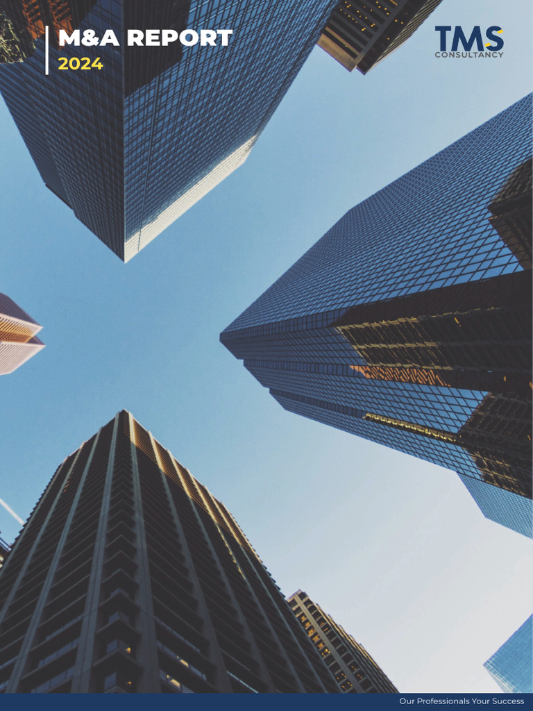 Vietnam M&A Report 2024 Insights | PDF | Mergers And Acquisitions ...