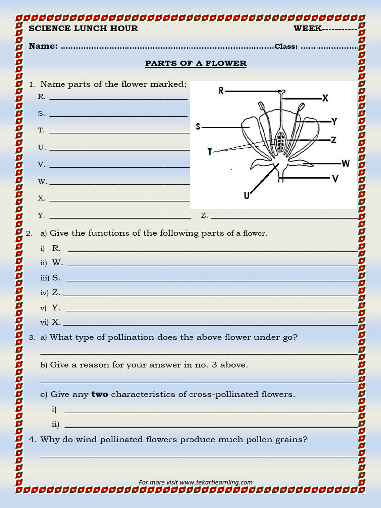 Parts and Functions of a Flower | PDF