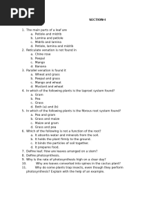 6th ICSE- Biology- Leaf Paper