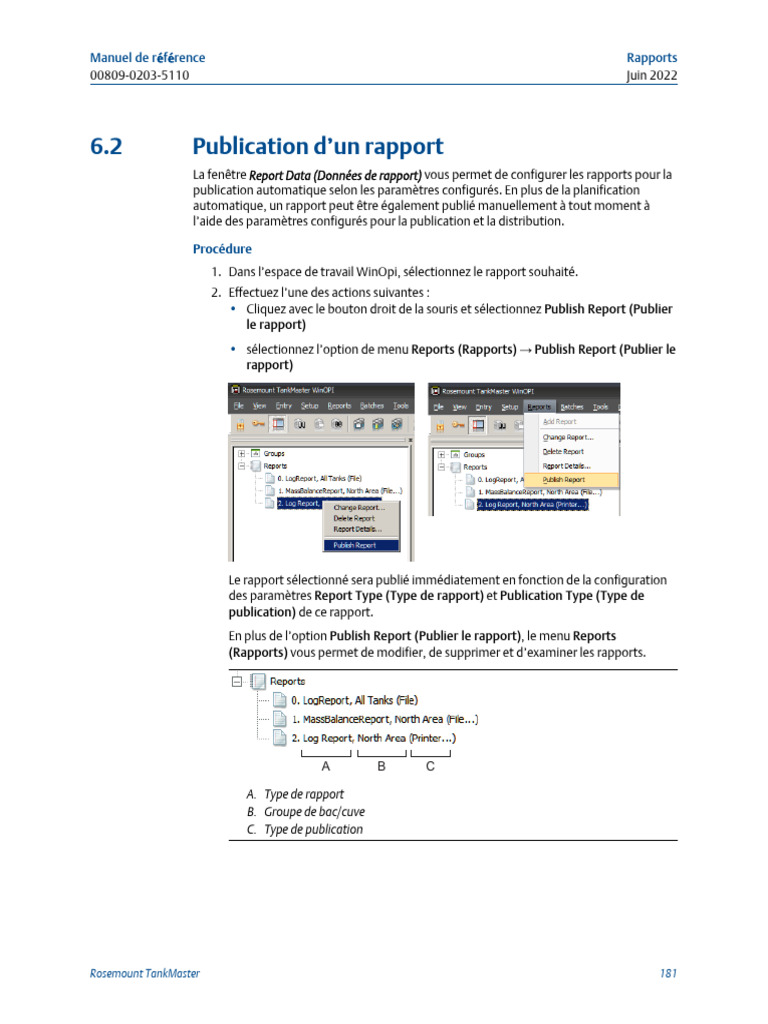 Publication de rapports TankMaster | PDF