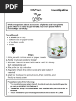 Step-by-Step Guide to Growing Monggo | PDF