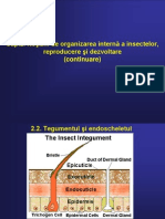 Curs Ento 3