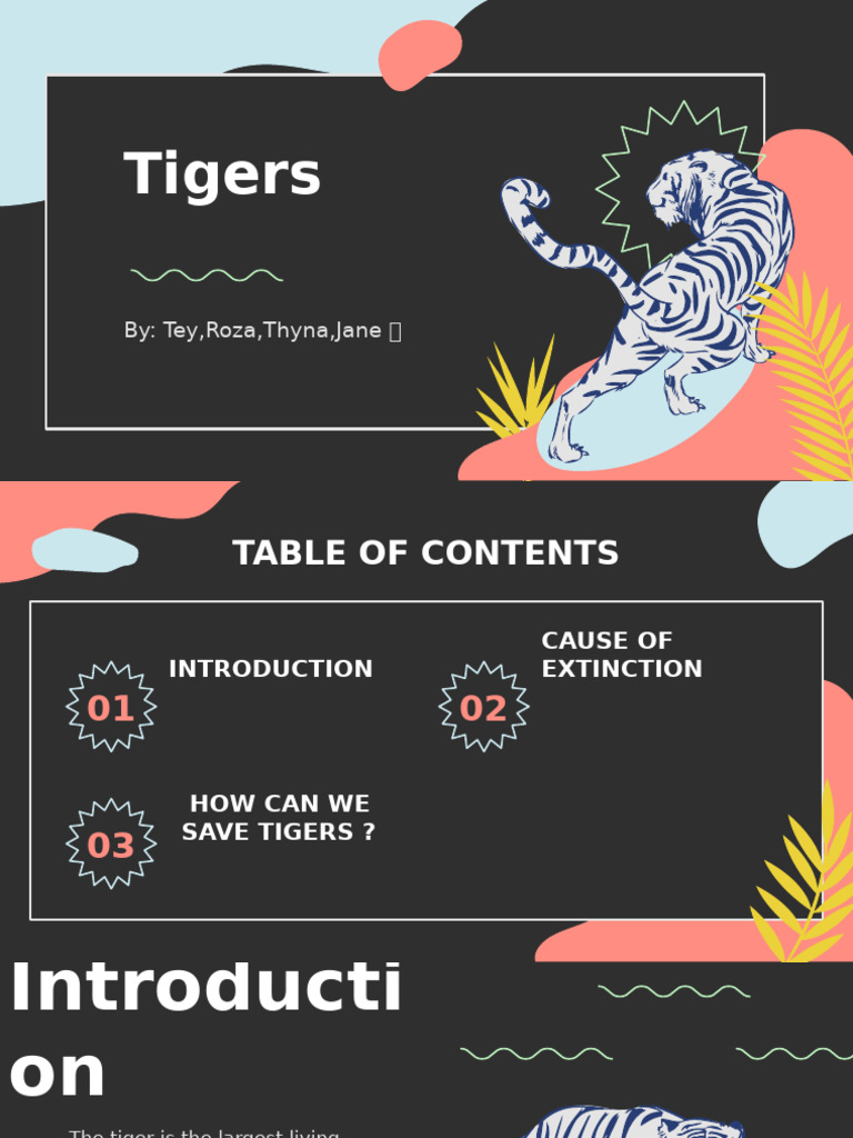 Tiger Rawrrr | PDF