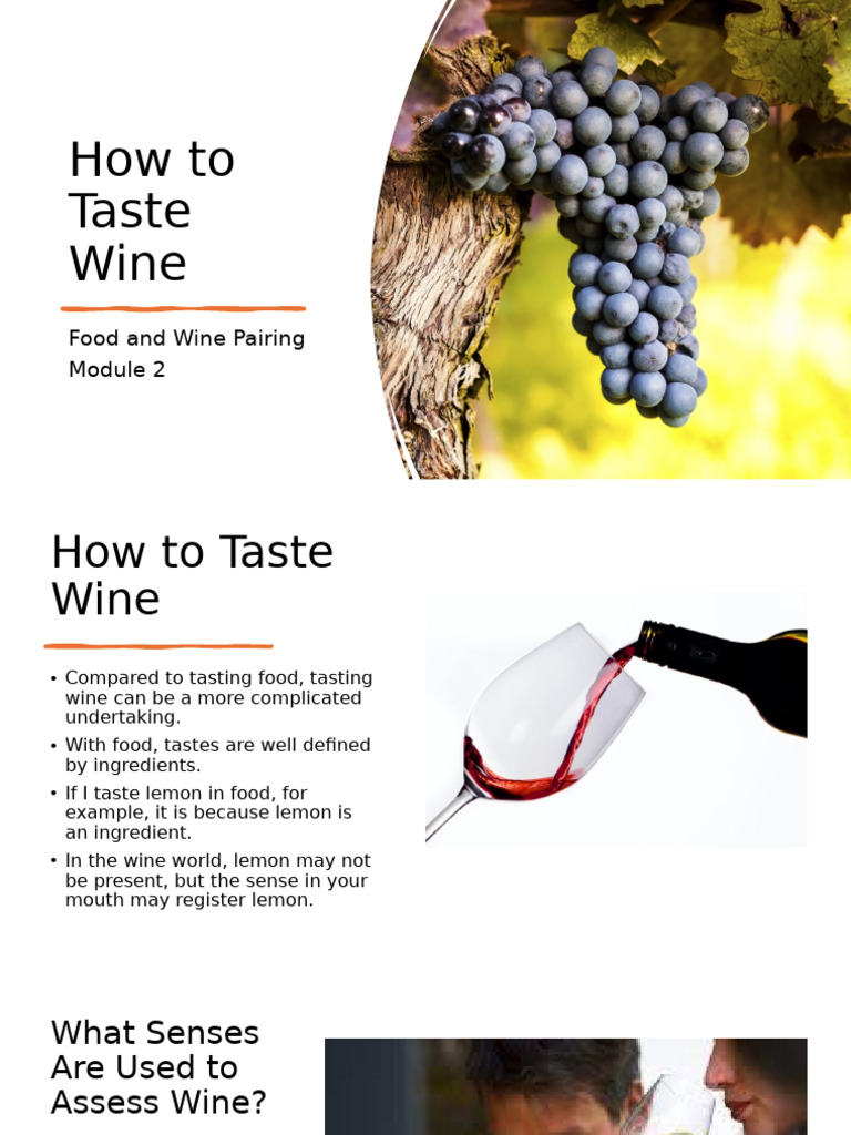 Importance of Second Wine Taste | PDF | Phenolic Content In Wine | Wine