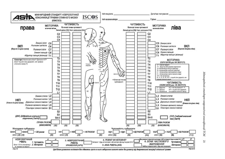 ISCOS | PDF