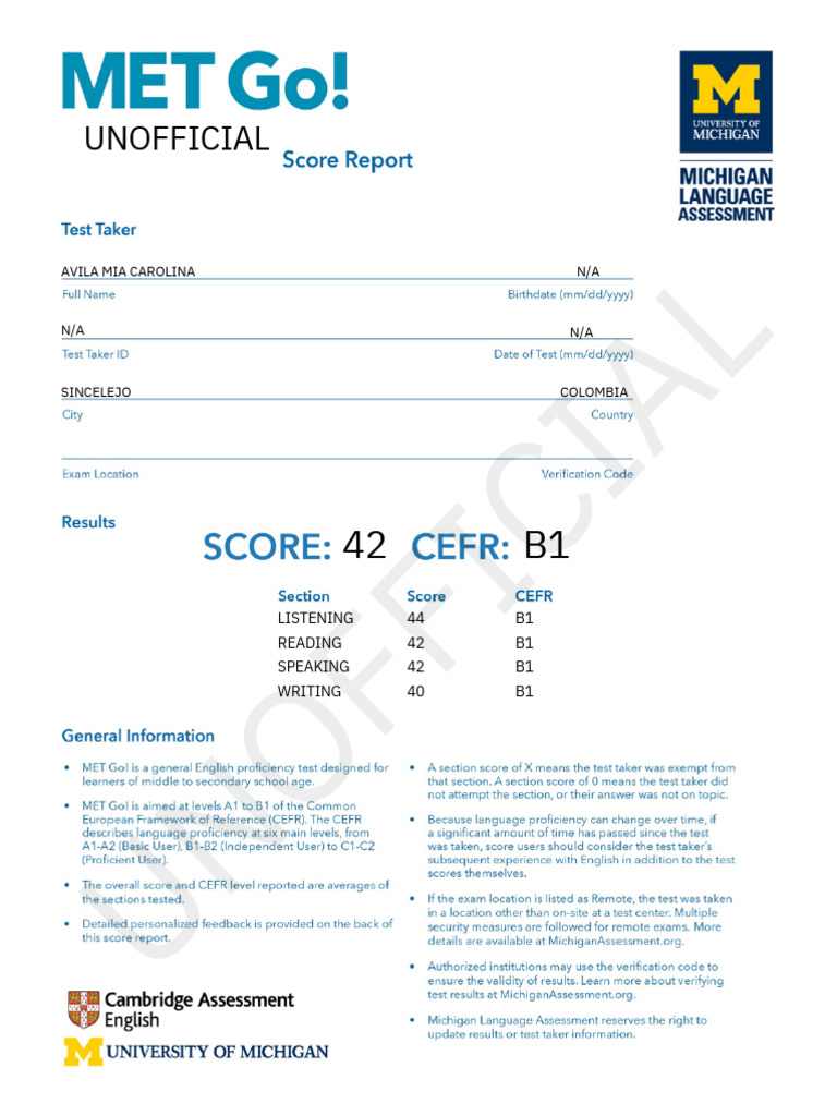 Met Go - Reports Mid-Term | PDF