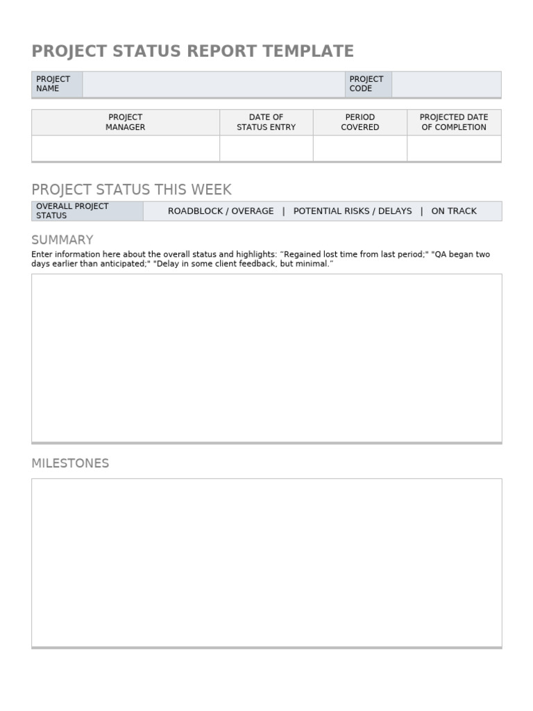 Weekly Project Status Overview | PDF