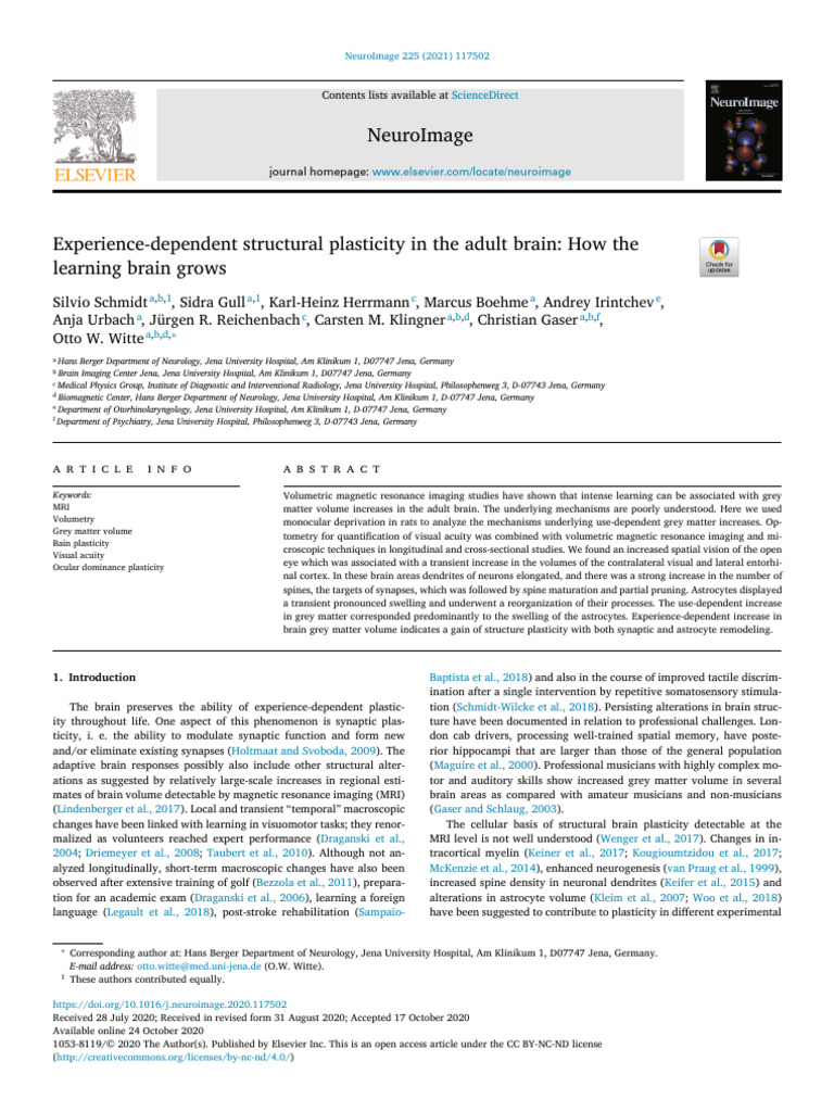 2021 Schmidt Brain Plasticity Adults Learn | PDF | Contrast (Vision ...