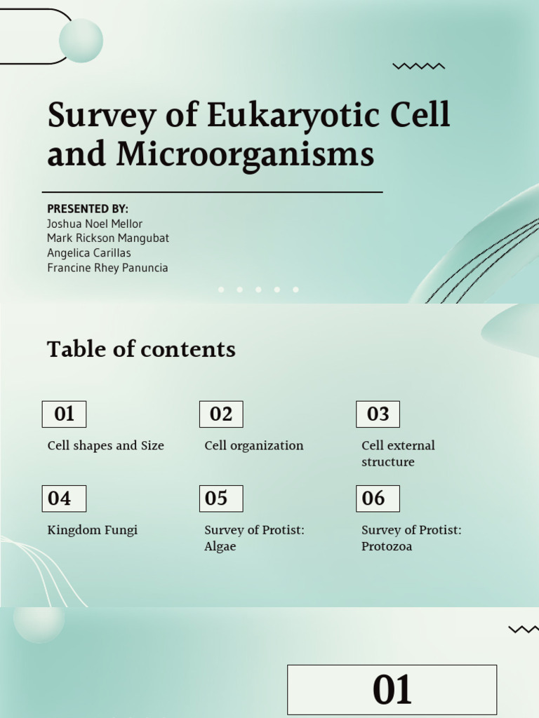 1 Survey of Eukaryotic Cell and Microorganisms | PDF | Cell (Biology ...