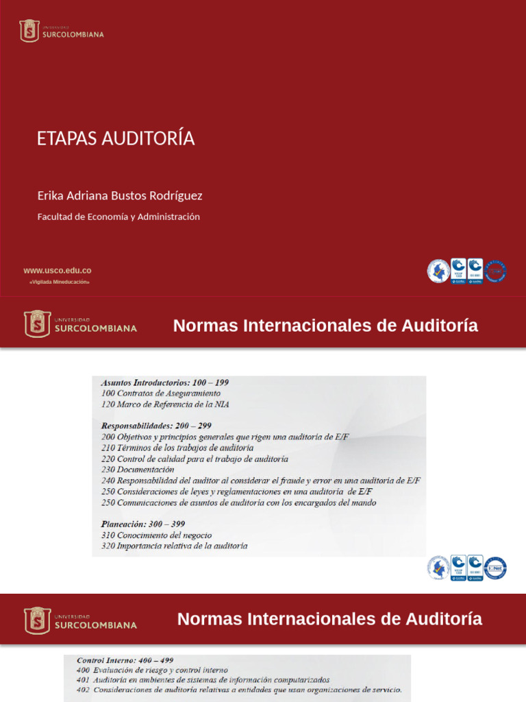 Etapas y Normas de Auditoría Financiera | PDF