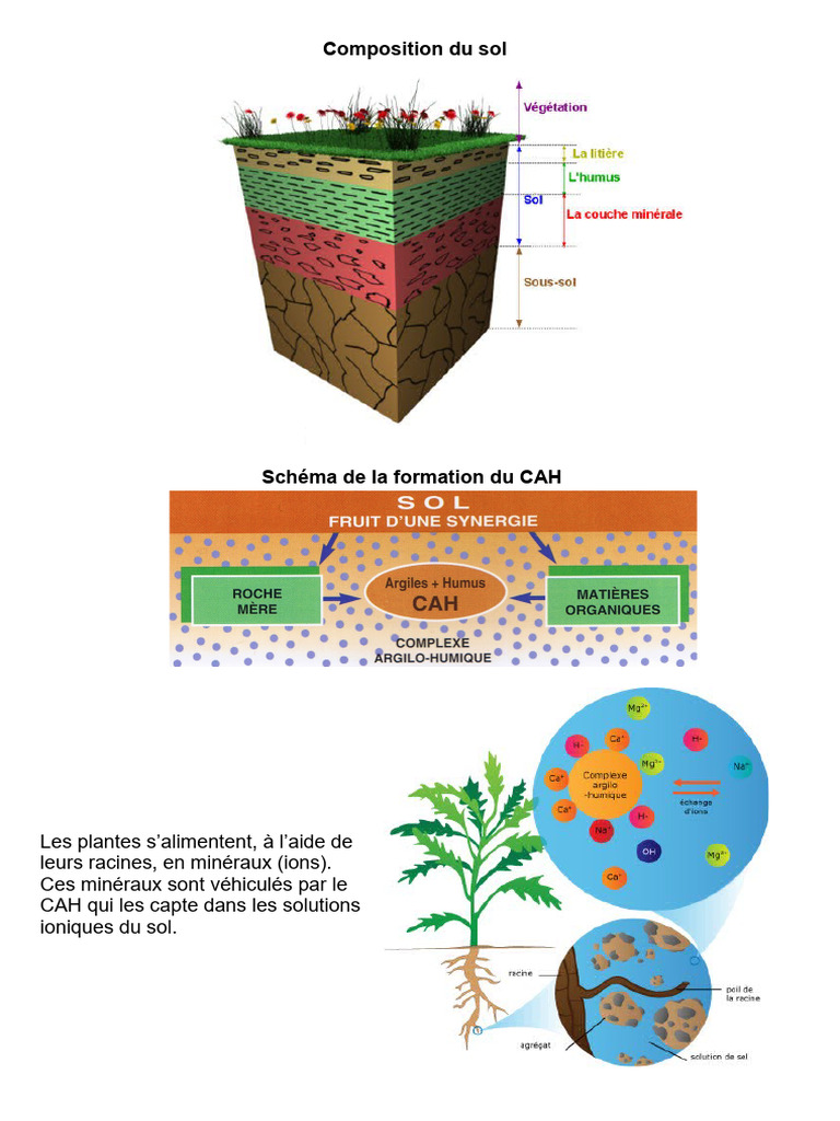 Schéma du Complexe Argilo-Humique | PDF