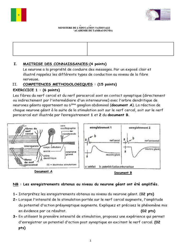 Épreuve de SVT Tle S1 - Semestre 2021 | PDF | Neurone | Nerf