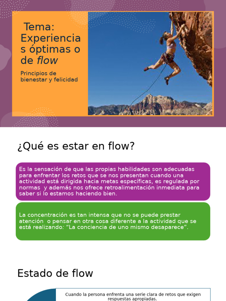 Tema 9 Flow | PDF