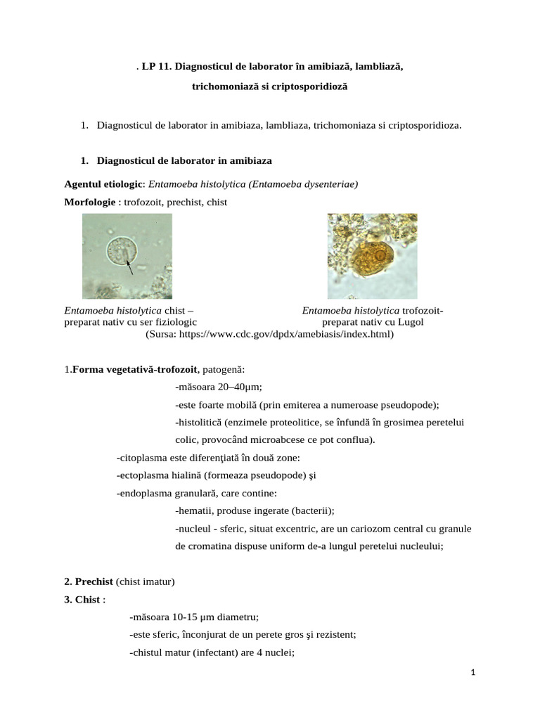 Lp11 Parazitologie | PDF