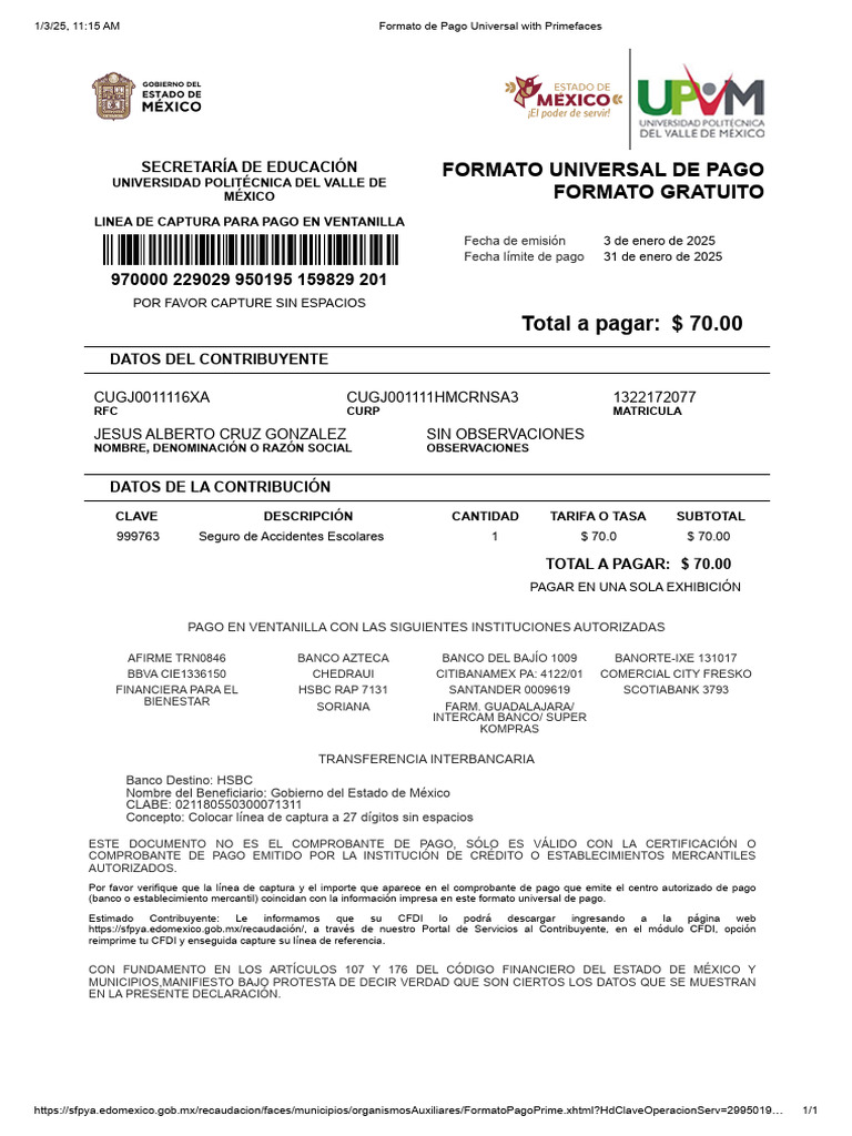 Formato de Pago Universal 2025 | PDF | Finanzas personales | Servicios ...