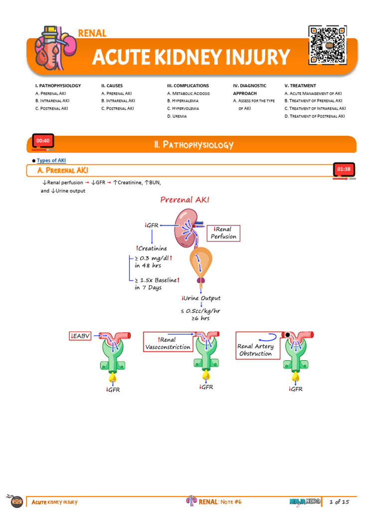 Acute Kidney Injury Overview | PDF | Kidney | Shock (Circulatory)