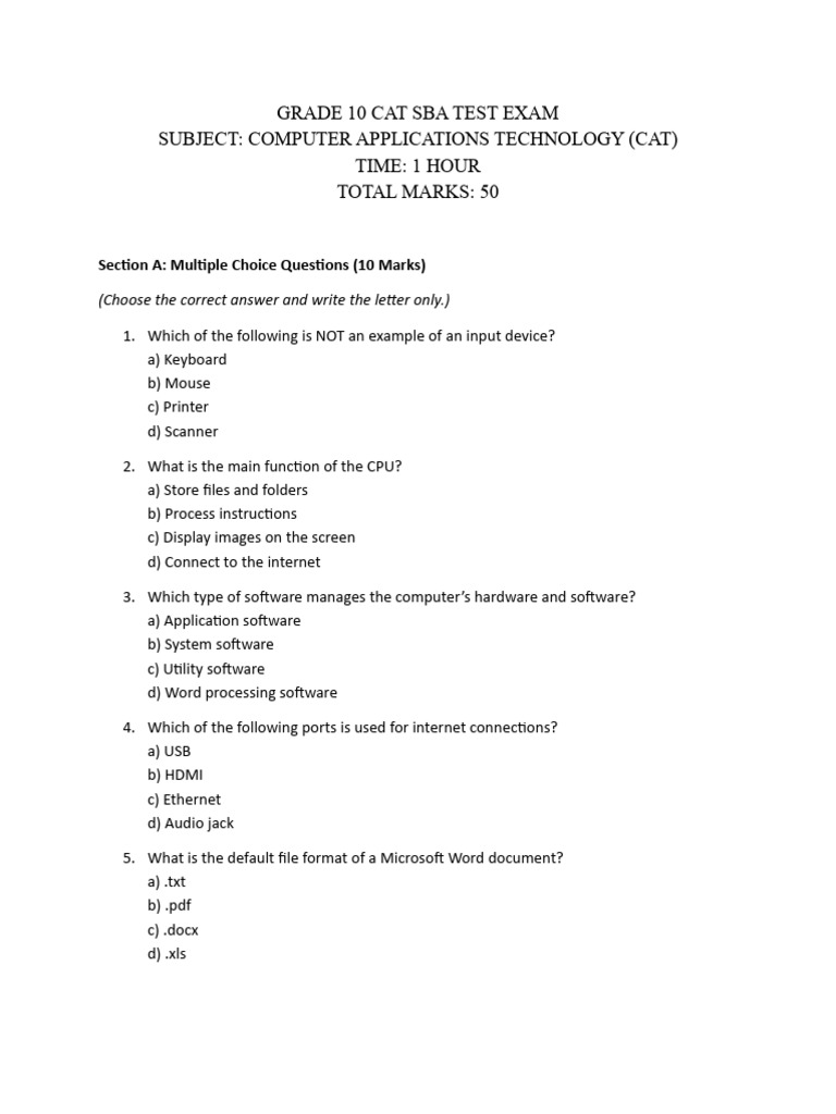 Grade 10 CAT SBA Test Overview | PDF | Microsoft Word | Usb