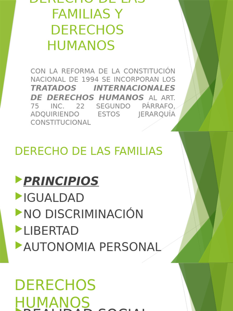Derecho de Las Familias y Derechos Humanos | PDF | Convenio europeo de ...
