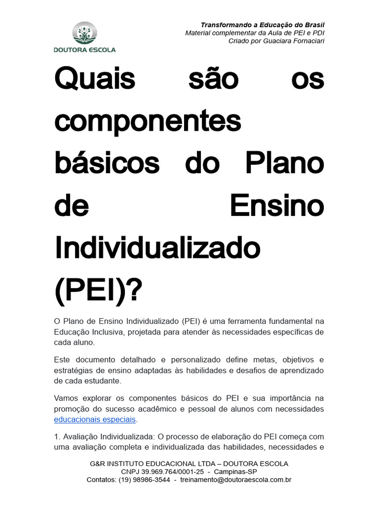 Componentes do Plano de Ensino Individualizado | PDF | Educação ...