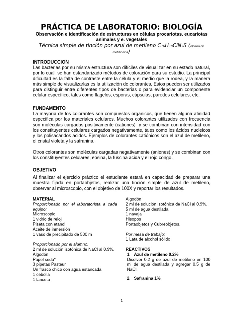 tinci-n-de-c-lulas-pr-ctica-de-biolog-a-pdf-tinci-n-biolog-a