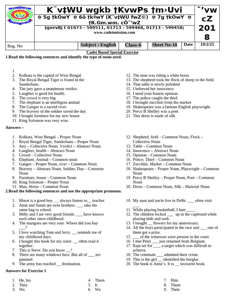 Class 6 English Noun and Pronoun Exercises | PDF | Noun | Linguistic ...