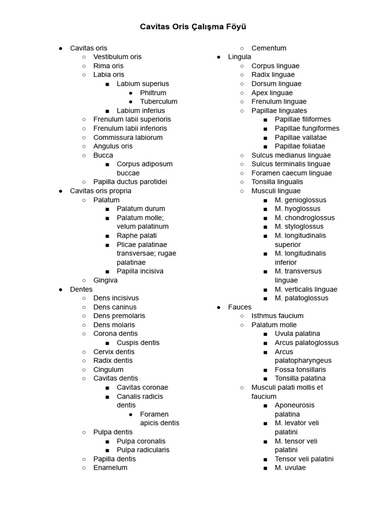 Cavitas Oris Çalışma Föyü | PDF