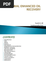 Download Microbial Enhanced Oil Recovery by Sadanand Patil SN83497506 doc pdf