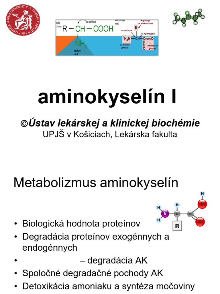 metabolizmus-aminokysel-n-i-pdf