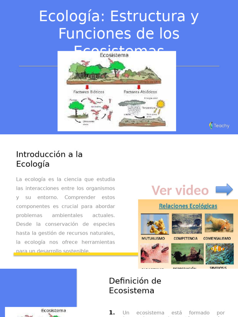 Estructura y Funciones de Ecosistemas | PDF | Ecología | Ecosistema