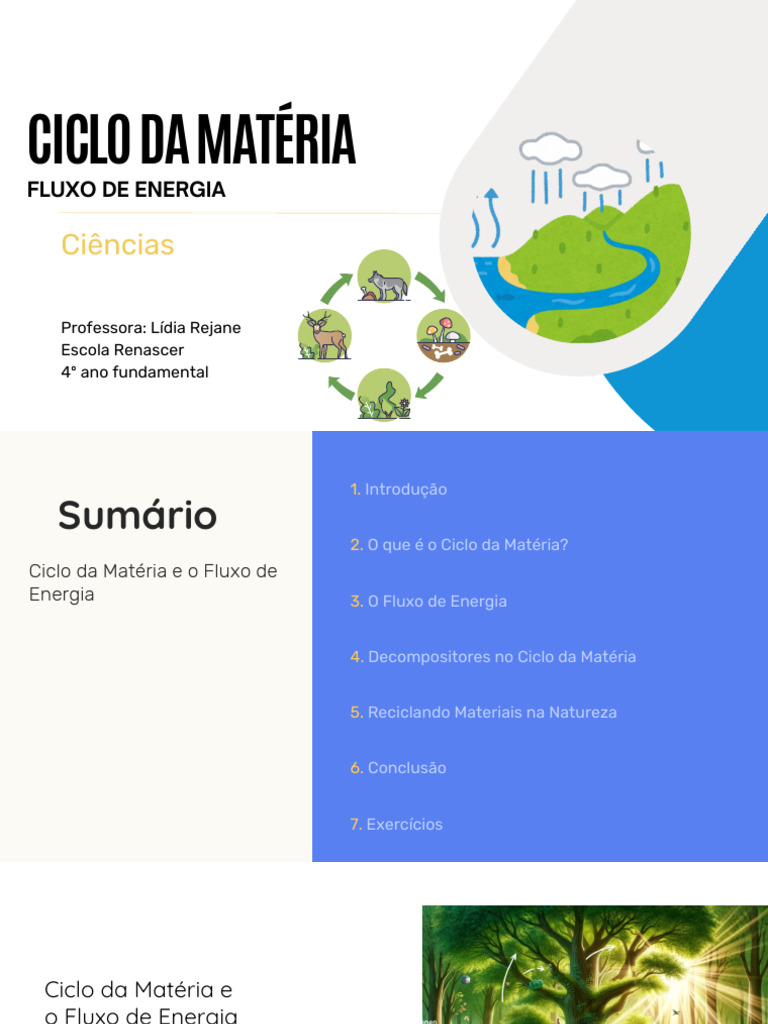 Ciclo da Matéria e Fluxo de Energia 4º Ano | PDF | Decomposição | Matéria