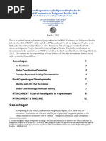 Preparation for Indigenous World Conference 2014