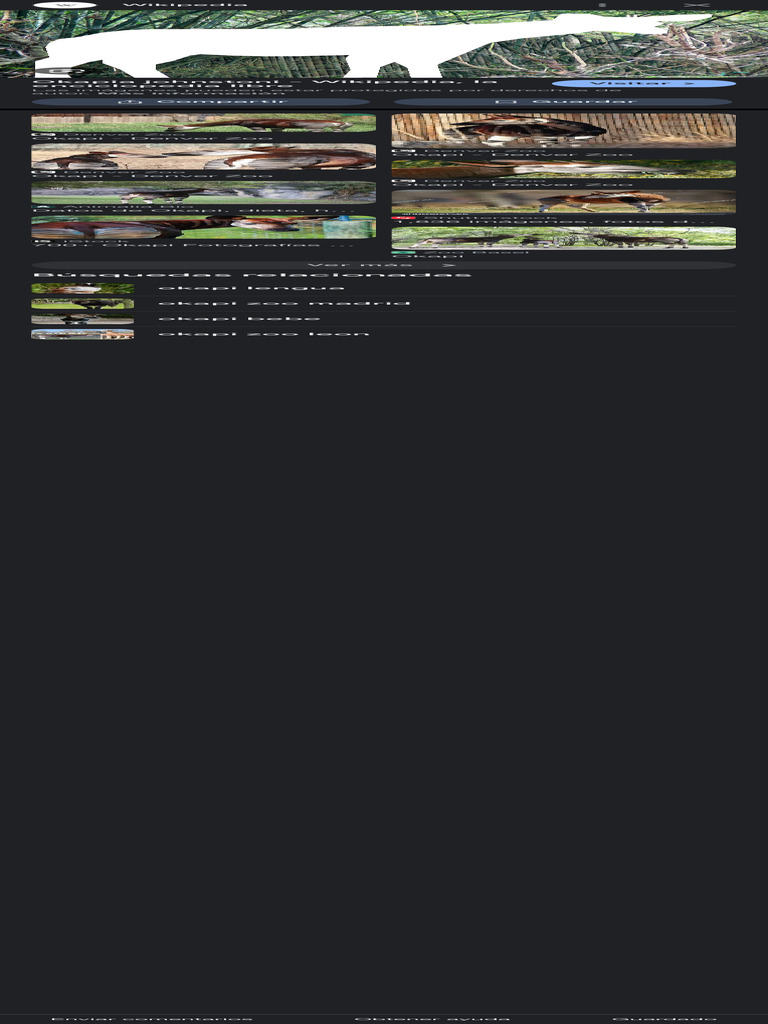 Datos y características del okapi | PDF