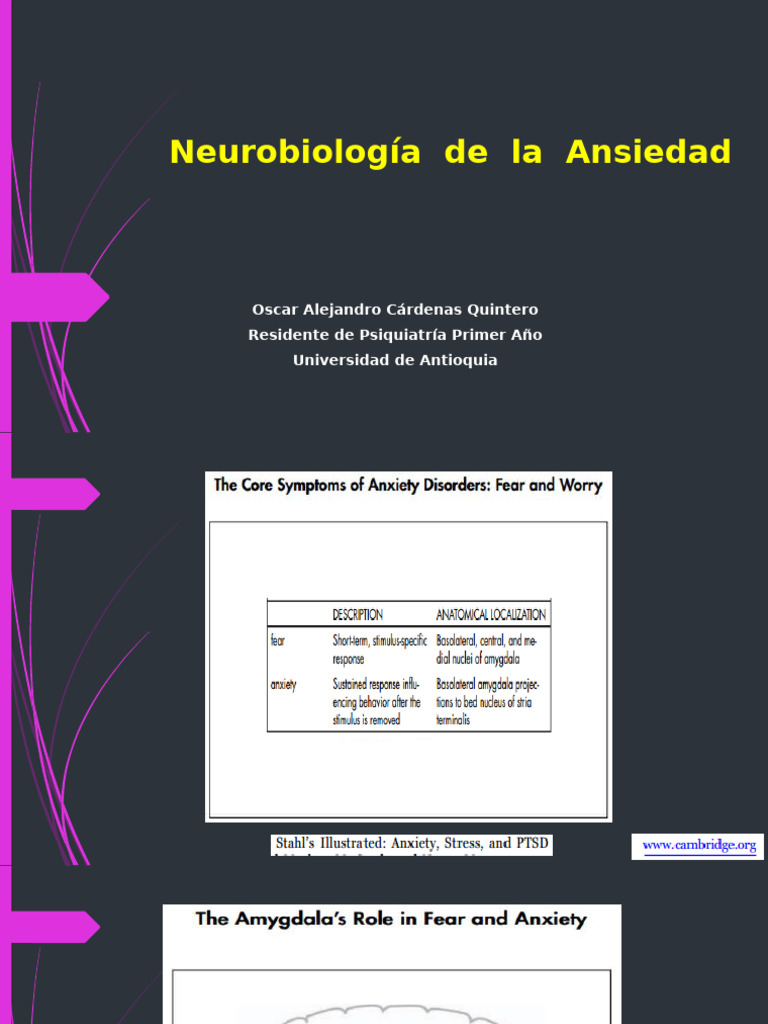 Neurobiología de la Ansiedad y Miedo | PDF | Temor | Ansiedad