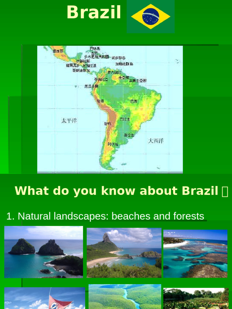 Explore Brazil: Culture, Cuisine, and Cities | PDF
