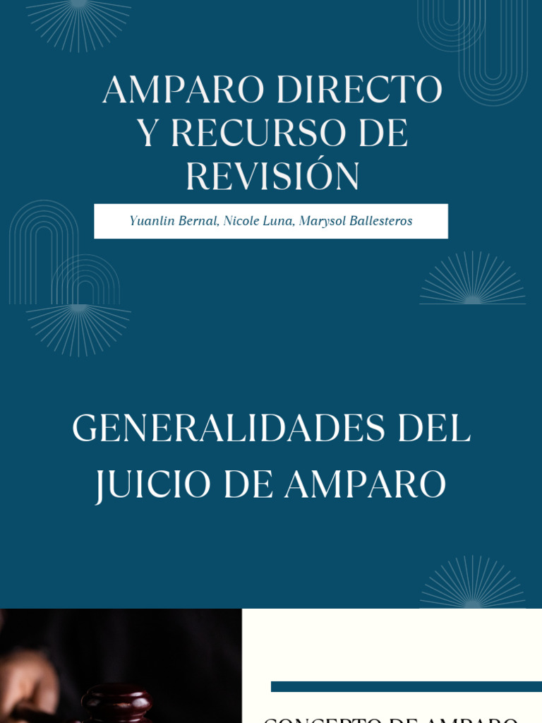 Guía del Juicio de Amparo en México | PDF | Demanda judicial | Gobierno