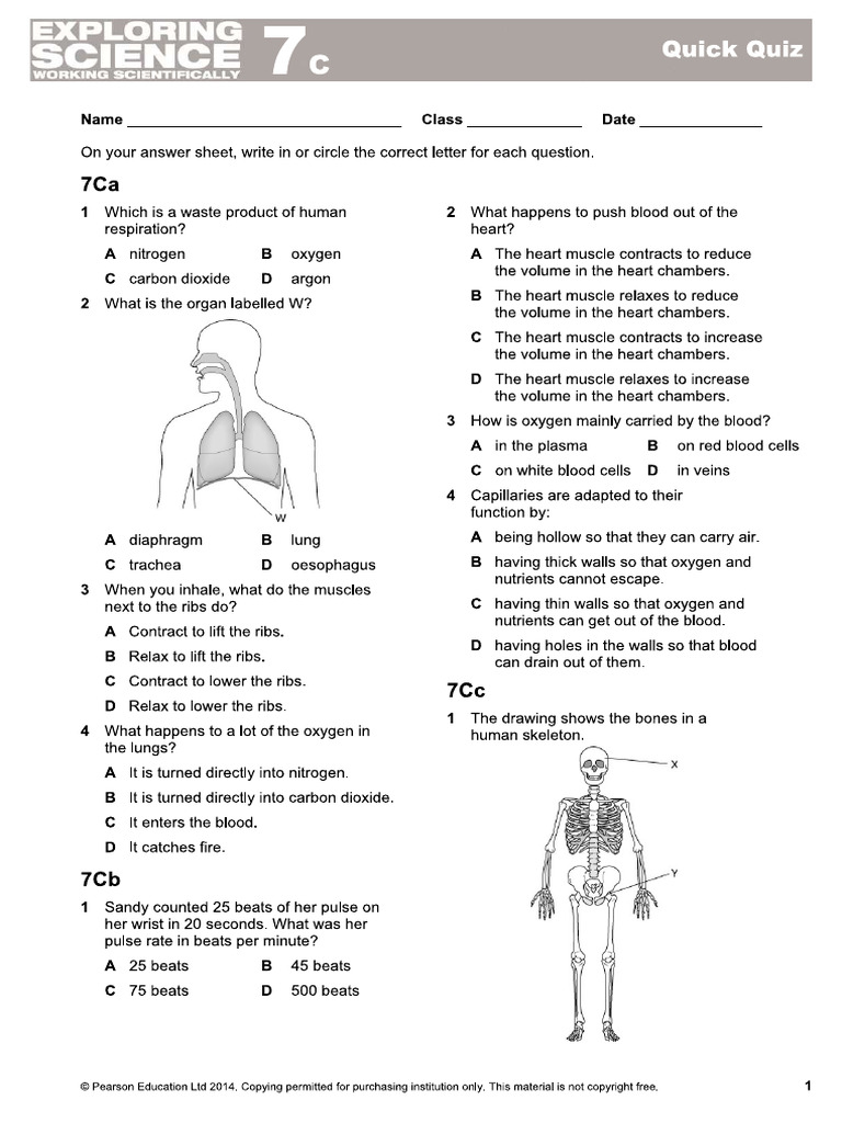 7C Quick Quiz | PDF