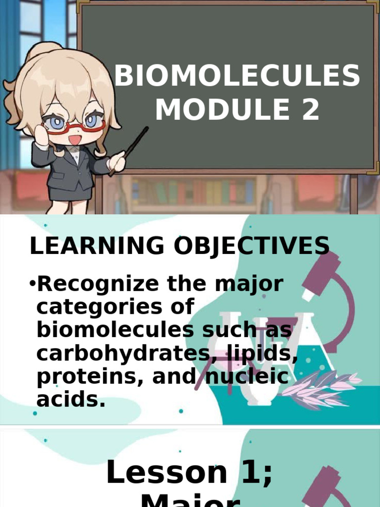 Biomolecules Overview for Students | PDF | Biomolecules | Lipid