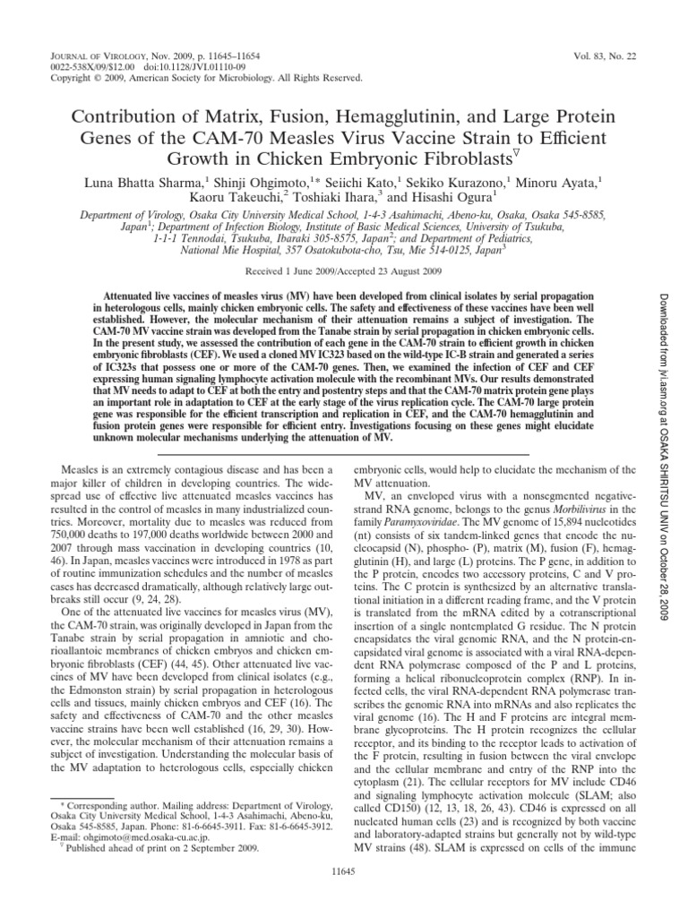 Luna Paper | PDF | Wellness | Technology & Engineering