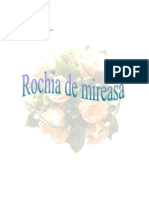 Rochia de Mireasa-Proiect Marketing Piata