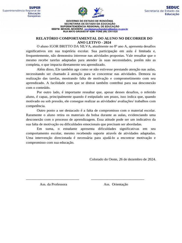 Relatório Comportamental do Aluno 2024 | PDF | Aprendizado | Motivação