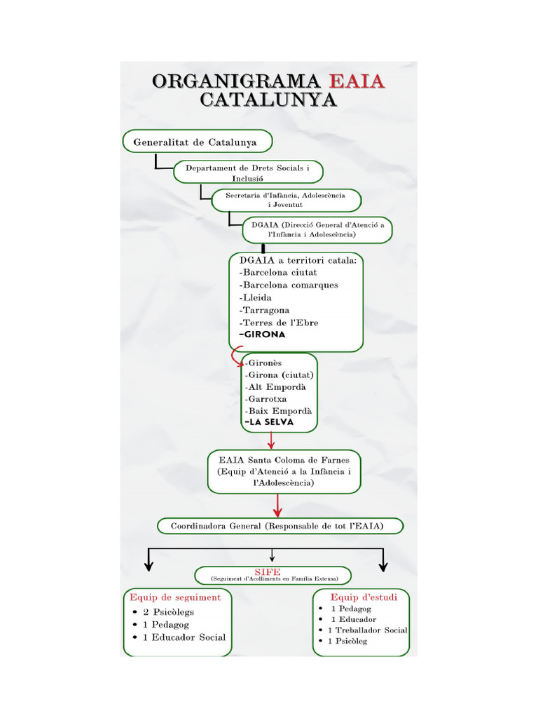 Organigrama Eaia | PDF