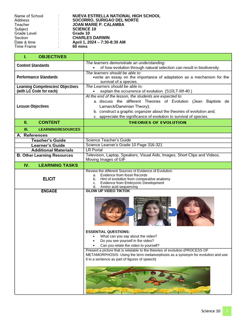 Evolution Lesson for Grade 10 | PDF | Evolution | Natural Selection