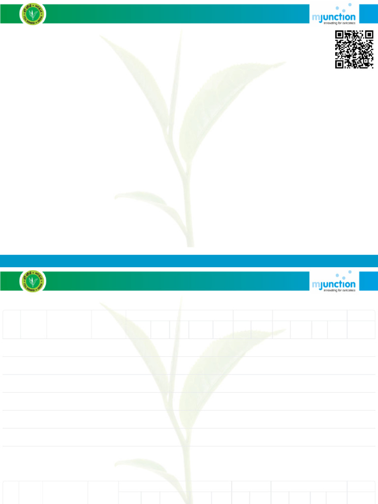 jorhat-2022-50-auction-schedule-pdf-tea-caffeinated-drinks