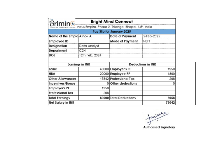 January 2025 Pay Slip Summary | PDF