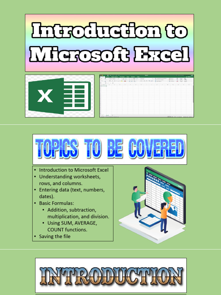 Excel Basics: Data Entry & Formulas | PDF