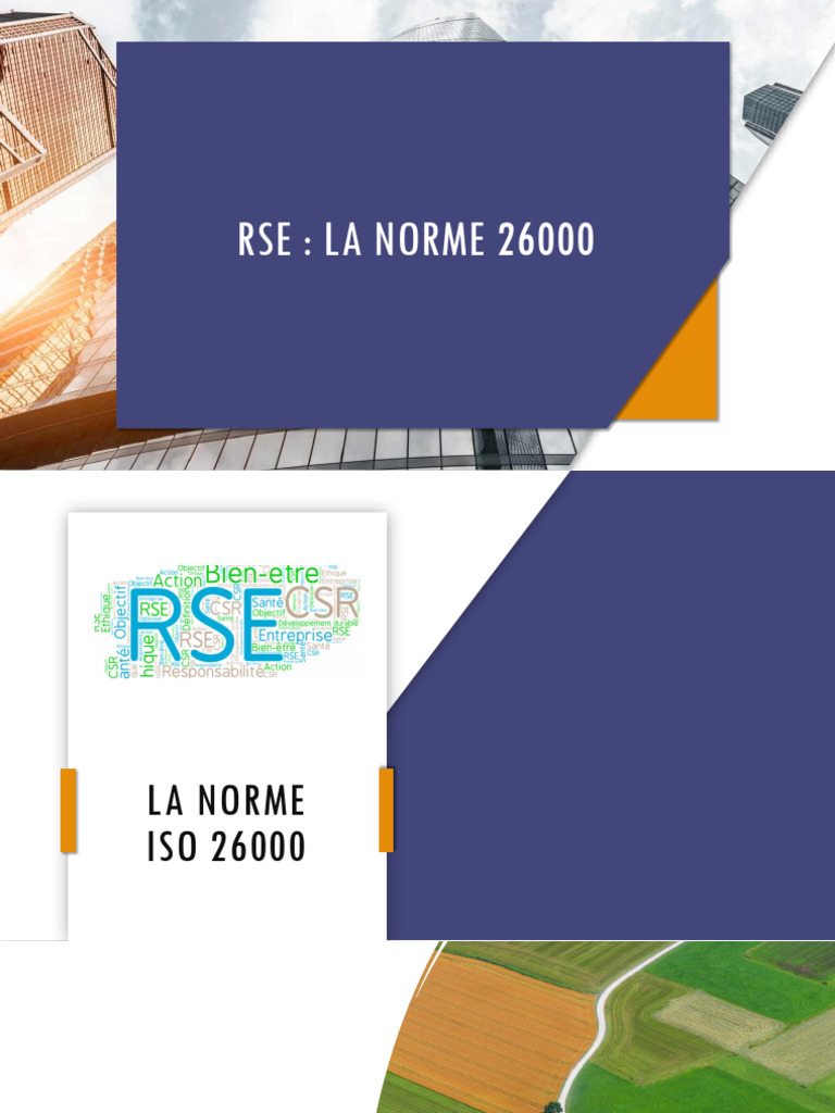 Comprendre la norme ISO 26000 RSE | PDF | Responsabilité sociétale des ...