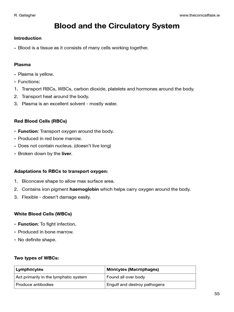 Blood and Circulatory System Overview | PDF | Heart | Heart Valve