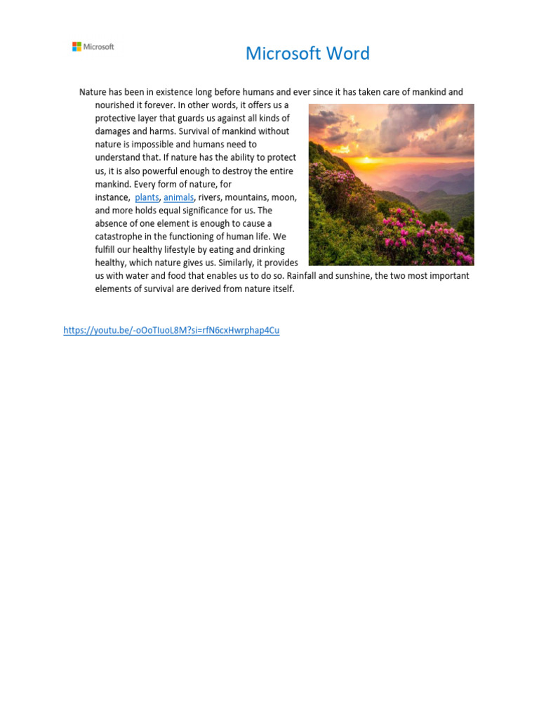 Assignment 2 | PDF