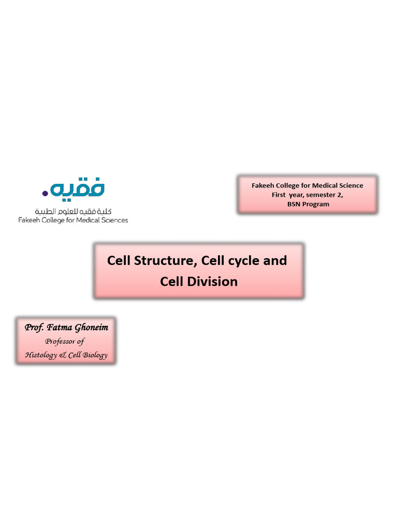 Cell Structure and Division Overview | PDF | Cell (Biology ...